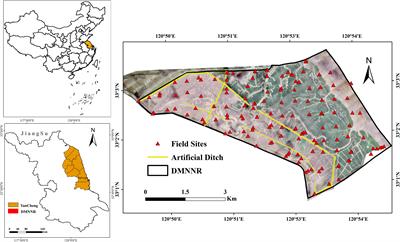 Examining the expansion of Spartina alterniflora in coastal wetlands using an MCE-CA-Markov model